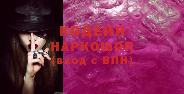 индика Зеленодольск