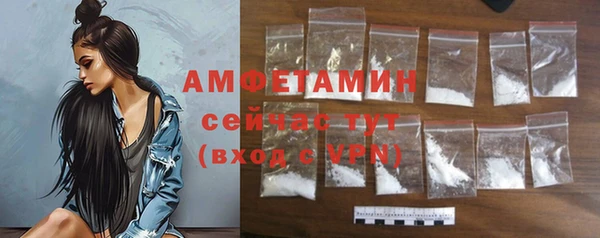 индика Зеленодольск