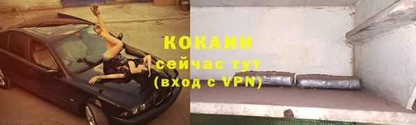сатива Зерноград