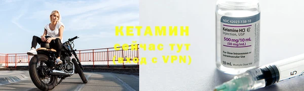 сатива Зерноград