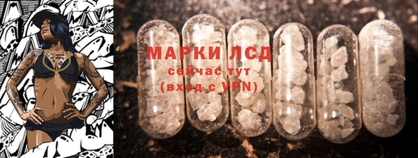 индика Зеленодольск
