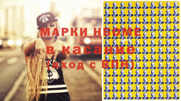 индика Зеленодольск