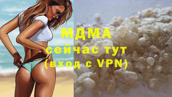 индика Зеленодольск