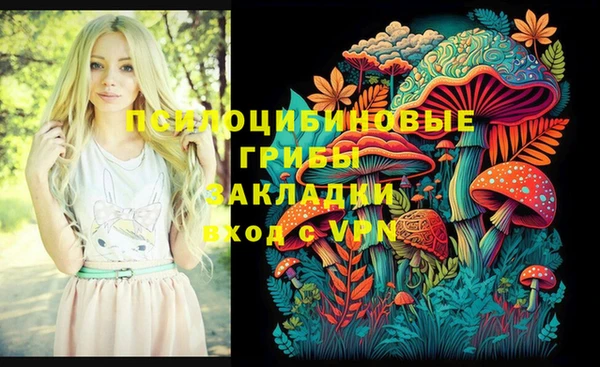 индика Зеленодольск