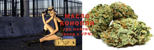 сатива Зерноград