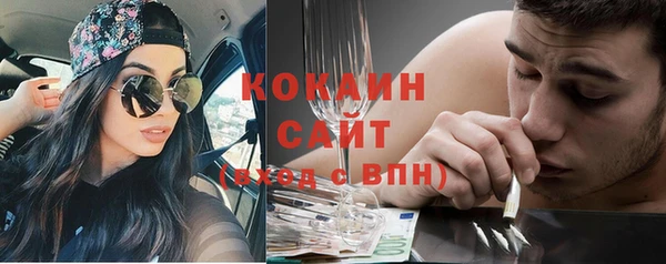 сатива Зерноград