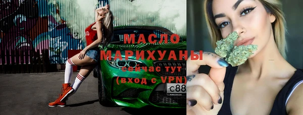 индика Зеленодольск