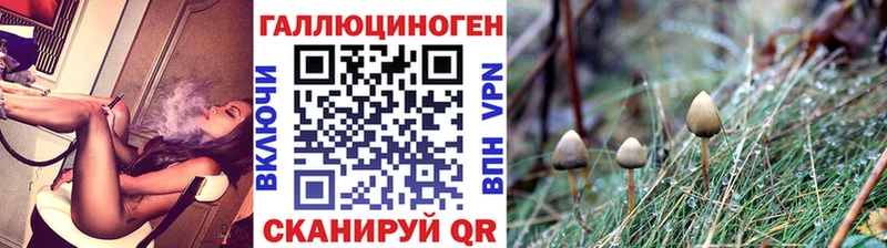 Купить  Давлеканово  Псилоцибиновые грибы мицелий 